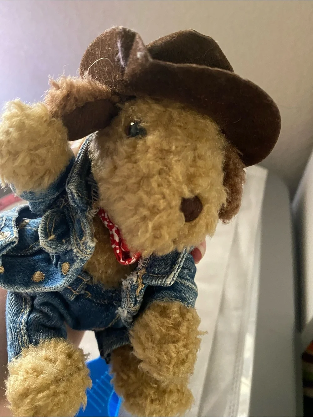 Old Navy Plush Toy Dog Cowboy Hat Jeans Jacket 6 Inch Branie Curly Hair Puppy
